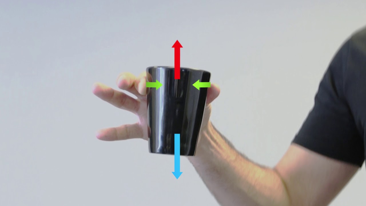DEXTROUS MANIPULATION IN MICROGRAVITY (GRIP)